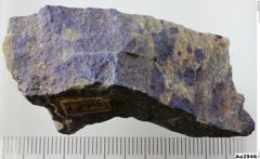 Foto von Lapis Lazuli (NHMW-MIN-Aa2946)